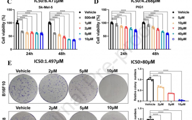 Biomaterials：依拉环素可通过AP1/CCL5介导的黑色素瘤M1巨噬细胞极化增强抗PD1免疫治疗