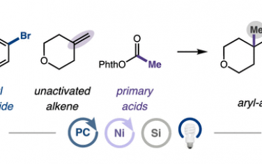 JACS：自由基调控实现烯烃的芳基化烷基化