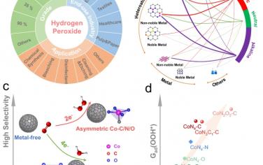 Nature Commun：不对称单原子Co电催化合成H2O2
