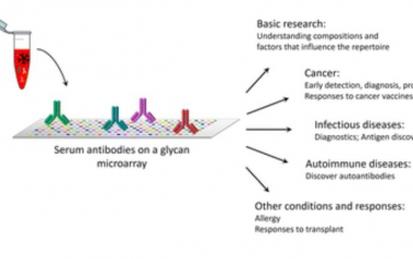 Chem. Soc. Rev.：用聚糖阵列筛选血清抗体