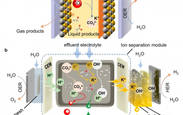Nat Commun：二氧化碳减排中的电解质回收、产品分离和二氧化碳捕获集成系统
