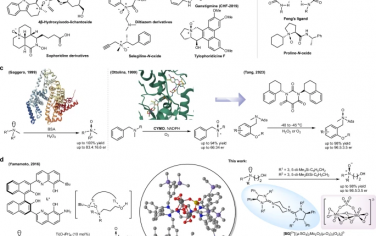 Nature Communications：双胍二核过氧钼酸盐催化的手性不对称N-氧化反应