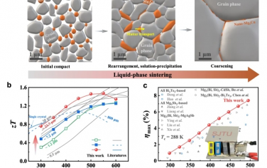 Nat Commun：利用晶界纳米烧结助剂接近热电材料的晶体极限