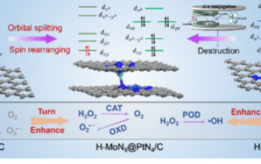 北师大JACS：打破单原子-载体间d-π共轭增强催化活性
