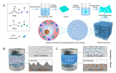 PNAS：一种具有电子云设计的聚亚胺气凝胶隔膜可用于促进稳定锂金属电池的锂离子传输