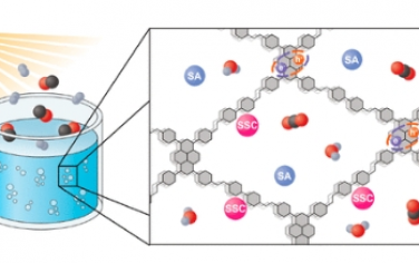 JACS：共价有机框架作为单中心光催化剂用于太阳能到燃料的转化