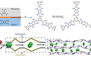 Nat Commun：用于区分 H2 和 CO2 的亚微孔聚合物薄膜