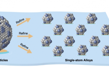 Angew：通过精炼孤立合金岛制造用于选择性 CO2 加氢的单原子合金催化剂