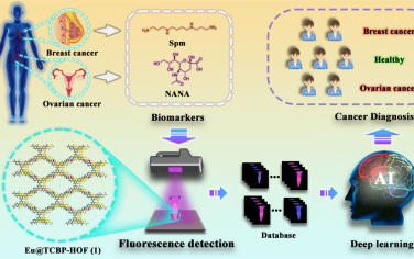 Anal. Chem：深度学习辅助的Eu(III)功能化HOF基智能人工视觉平台用于诊断乳腺癌和卵巢癌
