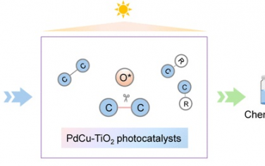 乔世璋JACS：PdCu-TiO2光催化聚酯选择性转化