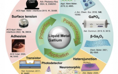 AFM：基于镓液态金属制备镓基二维材料和器件的最新进展