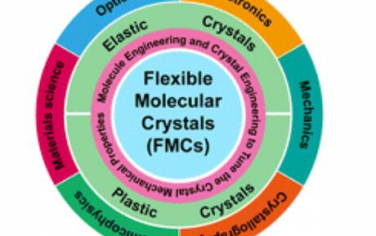 Chem. Soc. Rev.：用于光电子应用的柔性分子晶体