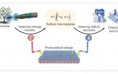 Nature Synthesis：用于控制生物炼制中电荷转移和自由基反应的光催化剂