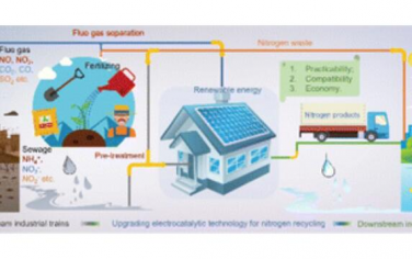 Chem. Soc. Rev.：通过氮污染的电催化将氮废物转化为高价值化学品