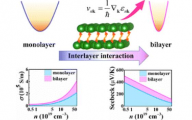 EES：通过层间相互作用增强二维半导体的电输运特性