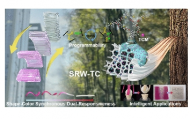 ACS Nano：具有热刺激的可编程形状颜色同步双响应木材