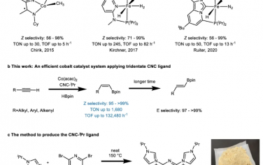 Nature Communications：钴催化的含时立体选择性末端炔烃的实际硼化反应