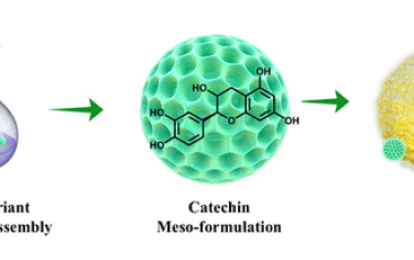 赵东元院士JACS：合成邻苯二酚介孔纳米粒子实现生物相容性抗菌制剂