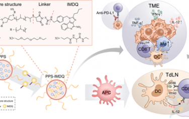 Biomaterials：PPS-TLR7/8激动剂纳米颗粒可通过选择性延长树突状细胞的激活产生强大的抗癌免疫