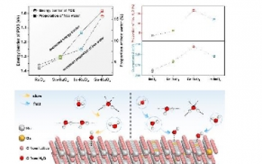 Angew：揭示 RuO2 界面水的结构和解离以实现高效的酸性析氧反应