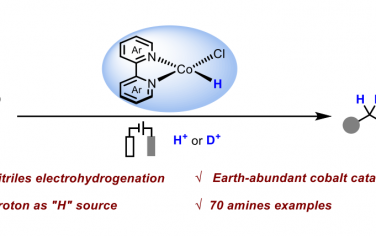 湖南大学Angew：Co电催化氰化物还原胺偶联