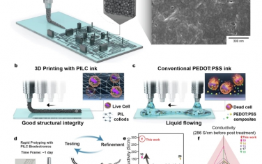 Nat Commun：可 3D 打印且生物相容的 PEDOT:PSS 高导电性离子液体胶体可用于快速按需制造 3D 生物电子器件