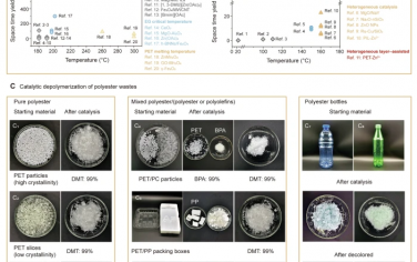 Nature Commun：富含氧空穴Fe/ZnO解聚PET