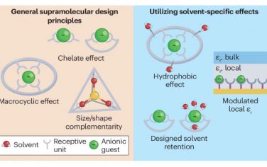 Nature Review Chem：溶剂对阴离子识别的影响