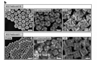 Nature Materials：用生成元胞自动机研究金的手性形态构建