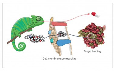 Nature Reviews Chemistry：药物发现中的分子变色龙