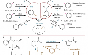 Nature Communications：间羰基苯酚和苯胺的合成