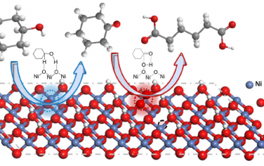 JACS：调控NiOOH催化位点改善电催化合成乙二酸和环己酮