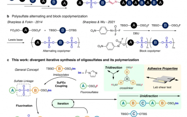 Nature Communications：序列调控低聚硫酸盐的迭代SuFEx方法及其在周期共聚物中的推广