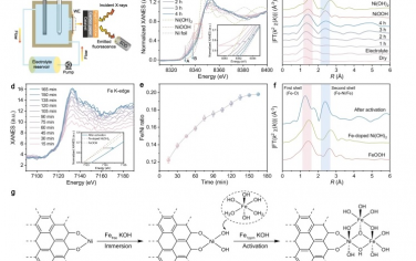 南洋理工大学&港城大&南方科技大学Nature Commun：活性位点动态调控打破OER反应的标度关系