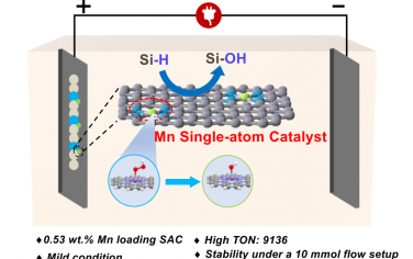 王定胜等Angew：单原子Mn电催化硅烷氧化制备硅醇
