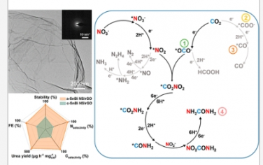 JACS：具有优化 C−N 耦合的非晶态铋−氧化锡纳米片实现高效尿素合成