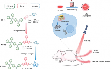 Adv. Mater：对离子AIE光敏剂进行供体-受体调节以增强ROS生成和NIR-II发射