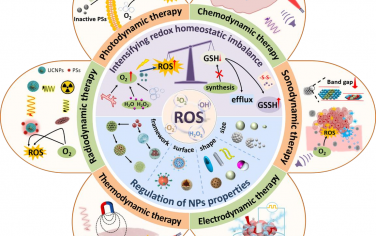 Biomaterials综述：ROS基纳米动力学疗法优化策略在肿瘤诊疗中的应用