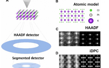 Science Advances：使用扫描透射电子显微镜以原子分辨率可视化 K2PtCl4 中的歧化化学