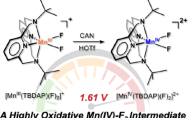 JACS：高氧化性单核锰（IV）-双（氟）配合物的合成、表征和反应性