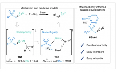 Nature Synthesis：重氮转移反应的计算分析用于开发预测反应性模型和重氮转移试剂