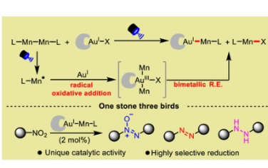 JACS：金-锰双金属光氧化还原耦合