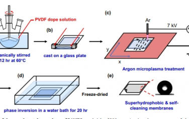 Nat Commun：通过等离子体辅助非溶剂诱导相分离开发多功能膜