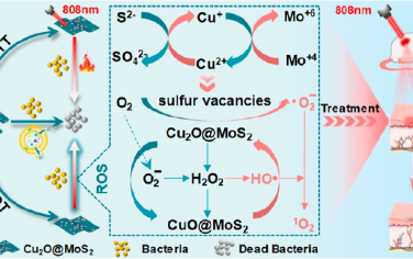 ACS Nano：二硫化钼支撑的氧化亚铜纳米复合材料用于实现对NIR-I光响应的协同抗菌治疗