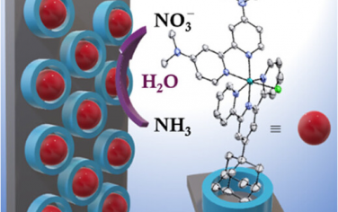 JACS：电极表面主客体修饰分子Ru电催化NH3