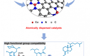 Chem：通过卡宾插入反应形成C–O、C–N和C–C键的通用原子分散铜催化剂