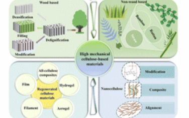 Chem. Soc. Rev.：针对强纤维素基材料的“自下而上”和“自上而下”策略