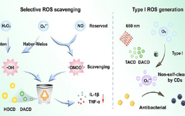 ACS Nano：结构导向的碳点可作为ROS纳米调节剂以用于动态治疗慢性炎症和感染