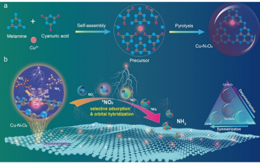 南师大Angew：不对称Cu-N1O2电催化还原硝酸盐