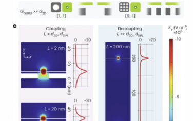 Nature Nanotechnology：用于单分子检测的耦合纳米孔